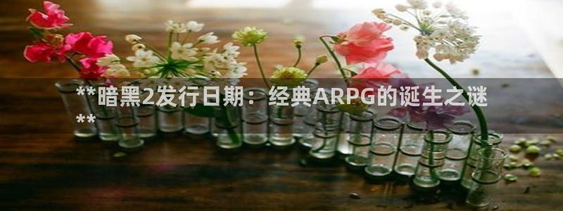 28圈娱乐创造奇迹登录最简单三个步骤：**暗黑2发行日期：经典ARPG的诞生之谜
**